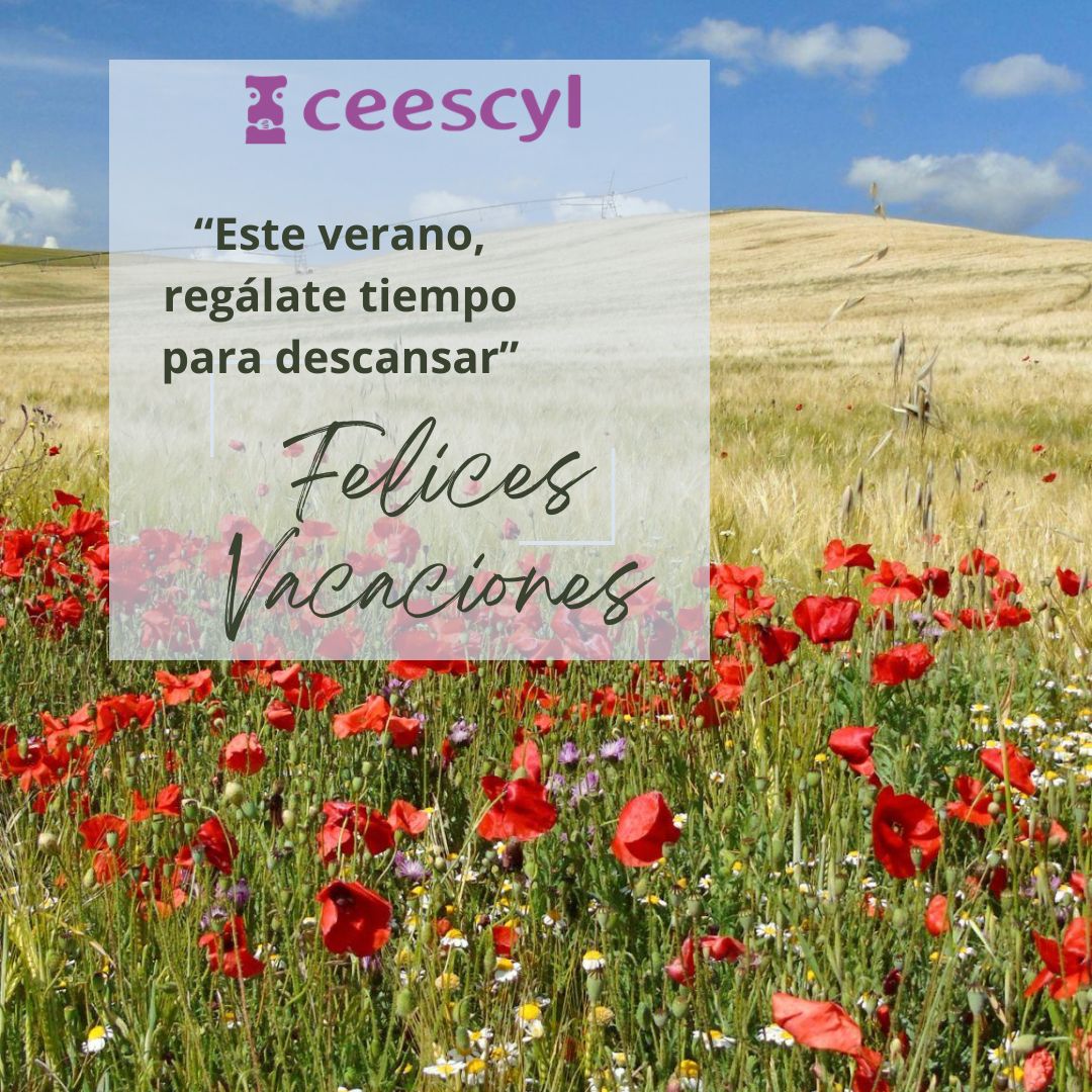 PERIODO DE CIERRE VACACIONAL CEESCYL VERANO 2026